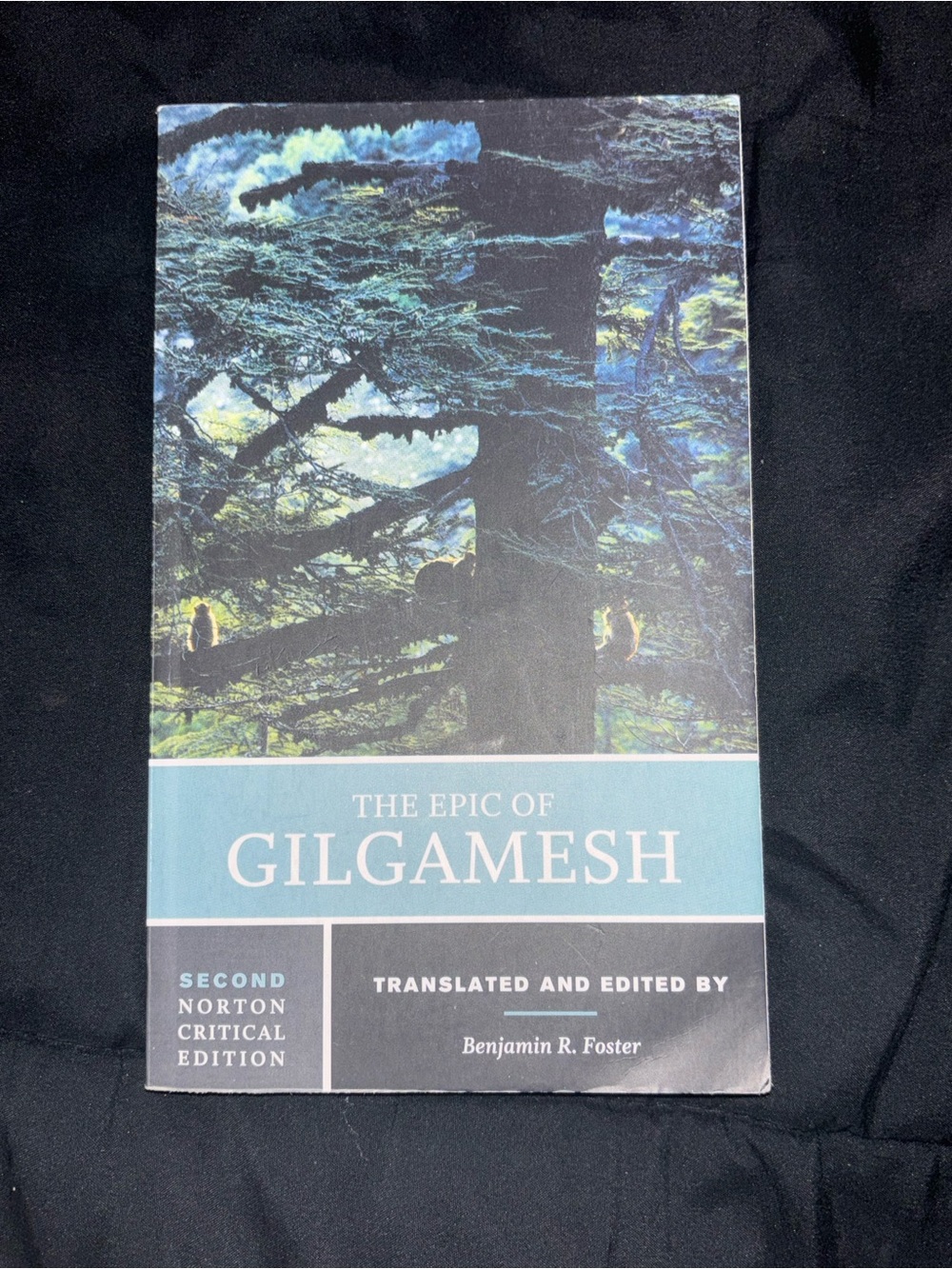 The Epic of Gilgamesh - Paperback Book—Benjamin R. Foster